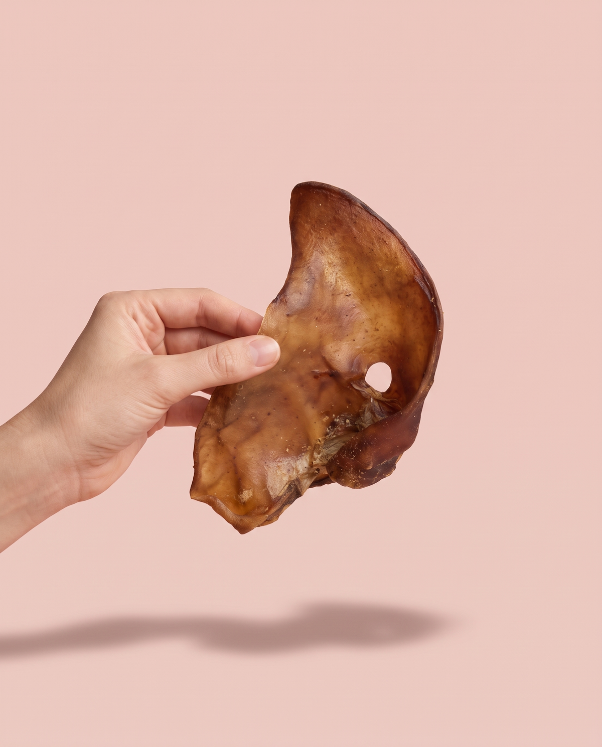 Sfeerfoto: hand biedt een varkensoor aan tegen een zachtroze studioachtergrond