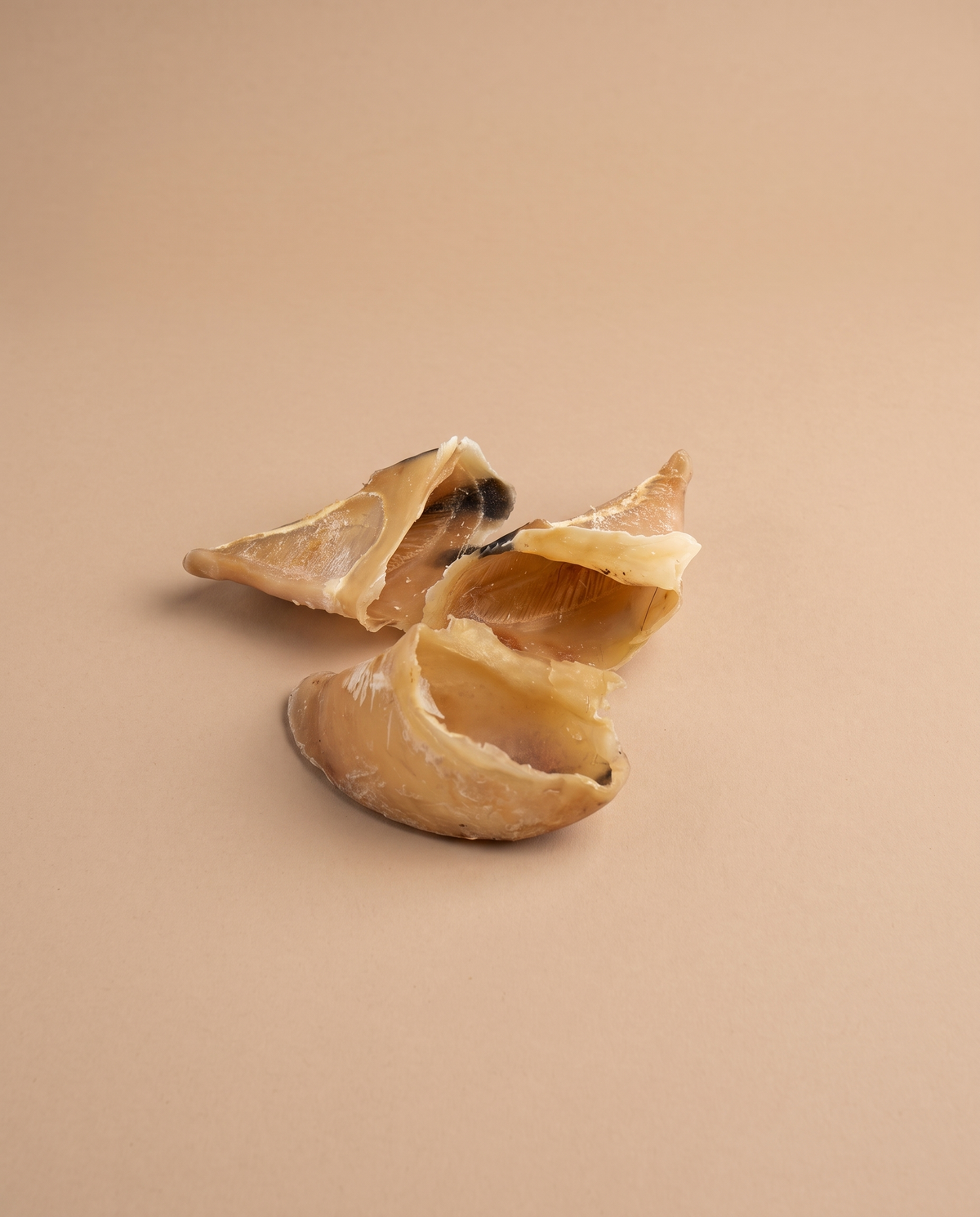 Sfeerfoto: kalfshoef tegen een beige studioachtergrond