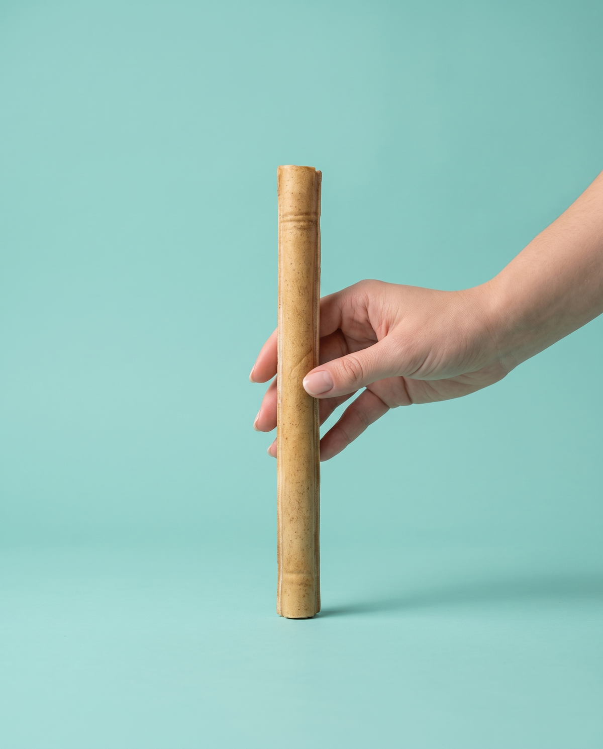 Sfeerfoto: hand biedt een geperste staaf kauwsnack aan tegen een lichtturquoise studioachtergrond