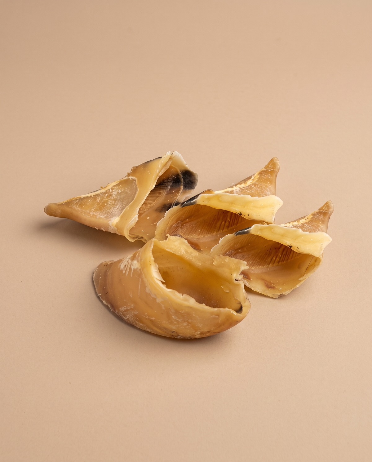 Sfeerfoto: 5 stuks kalfshoef tegen een beige studioachtergrond