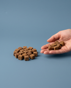 Sfeerfoto: kleine hoeveelheid trainers met hert (200 gram) met hand, tegen een stofblauwe studioachtergrond