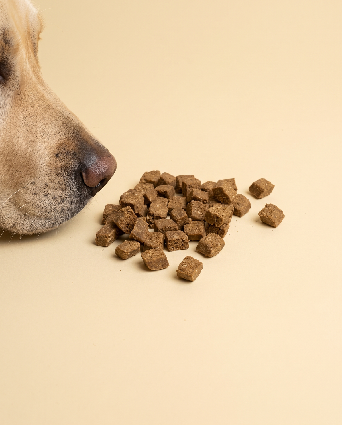 Sfeerfoto: kleine hoeveelheid trainers met kip (200 gram) met hondensnuit, tegen een lichtgele studioachtergrond