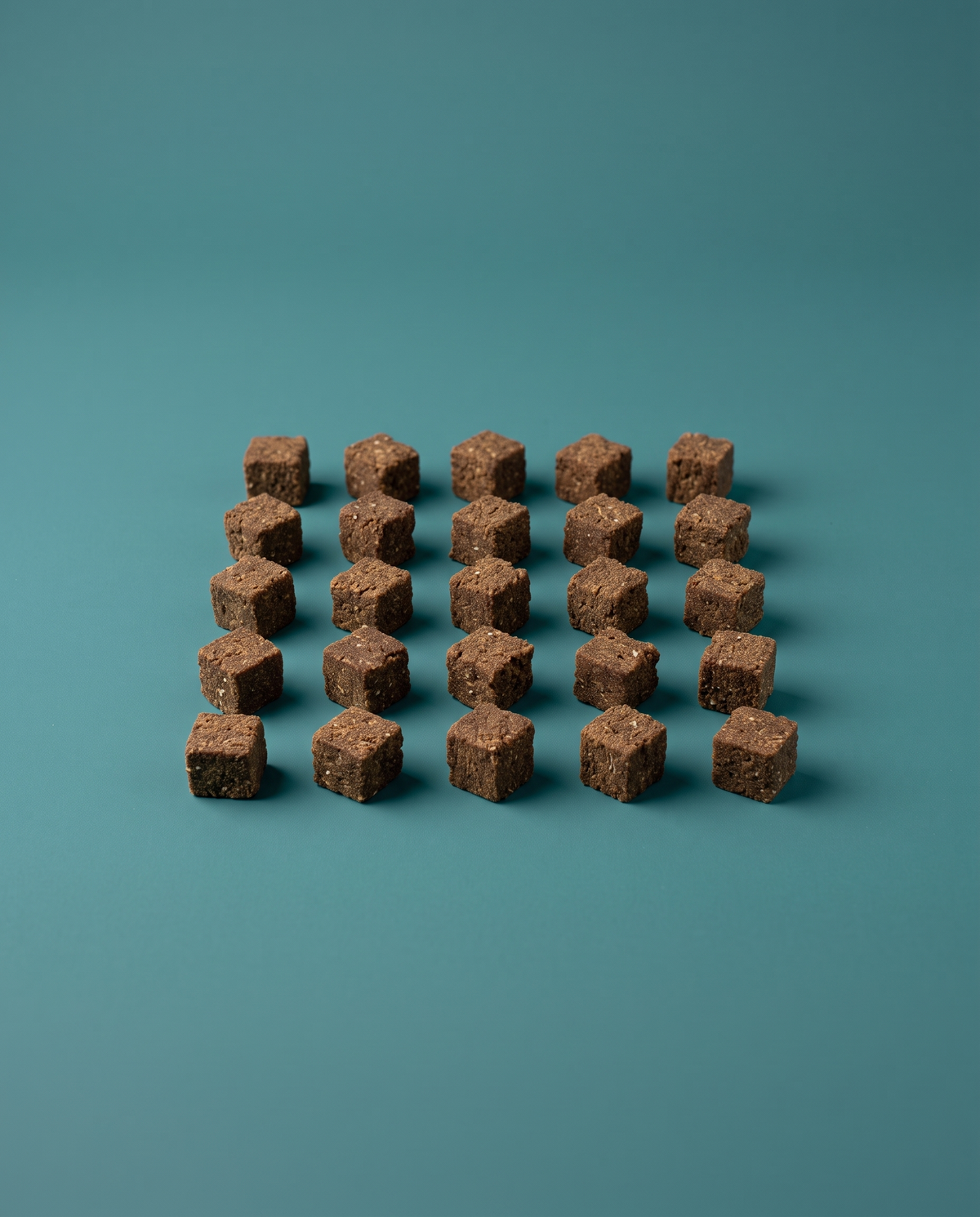 Sfeerfoto: kleine hoeveelheid mini trainers met konijn (200 gram), tegen een teal studioachtergrond
