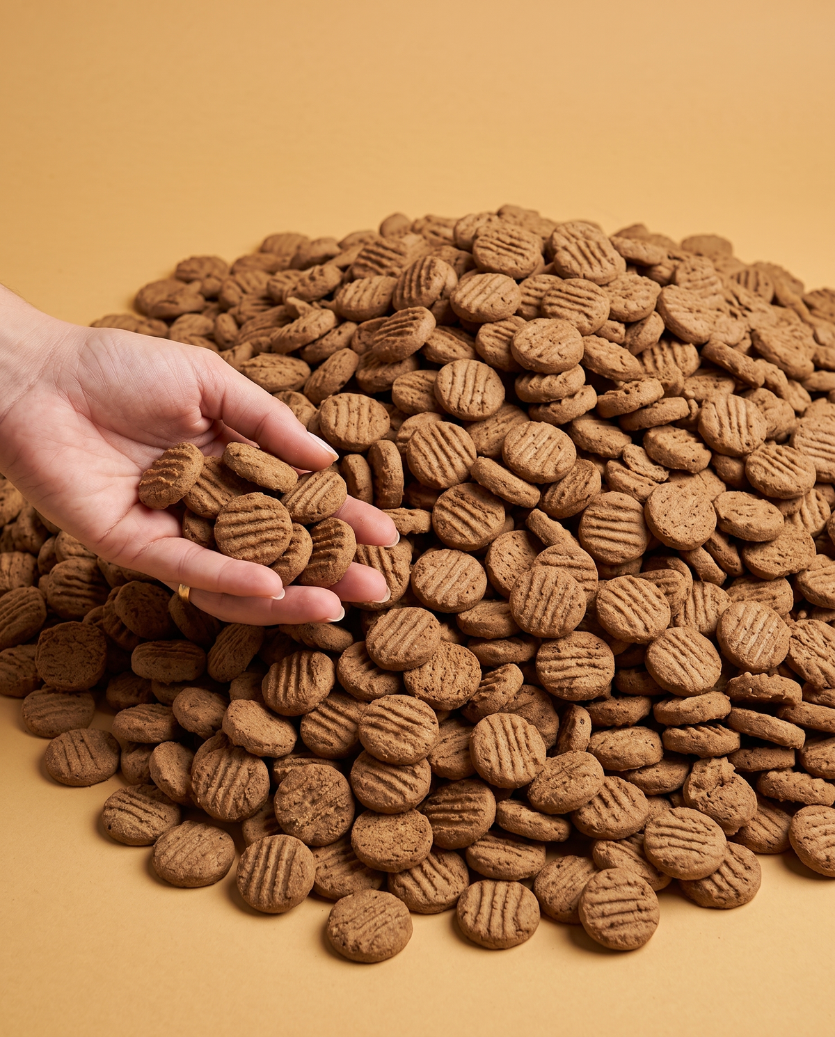 Sfeerfoto: grote hoeveelheid Mono Koek Groot (bulk 10 kilo) met hand, tegen een honingkleurige studioachtergrond