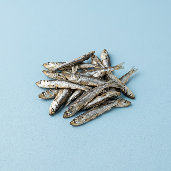 Vistrainers ( ansjovis ) 60 gram