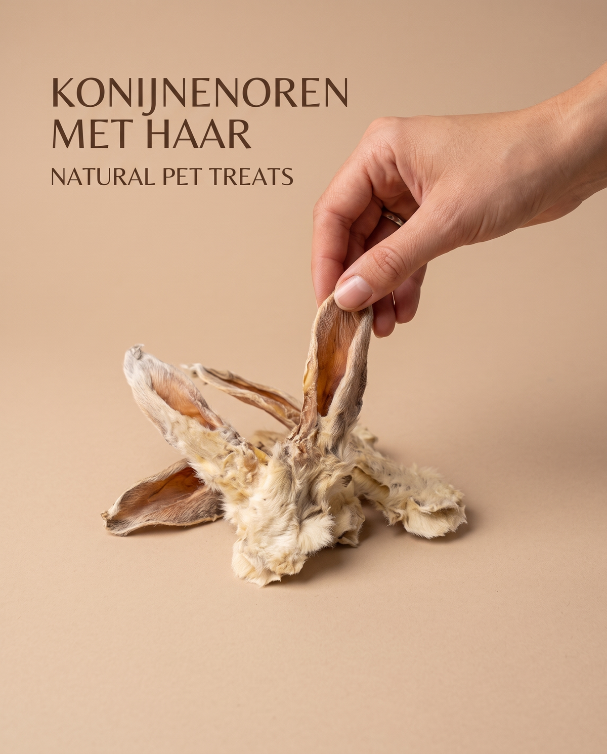 Konijnenoren met haar